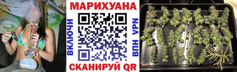 Виды наркоты Нурлат ГАШ  A PVP  Кокаин  МЕФ  Каннабис 