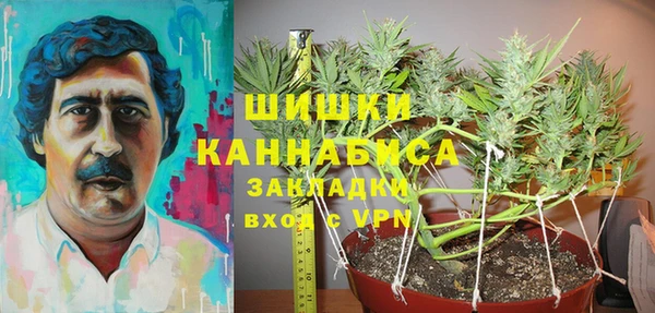 бошки Алзамай
