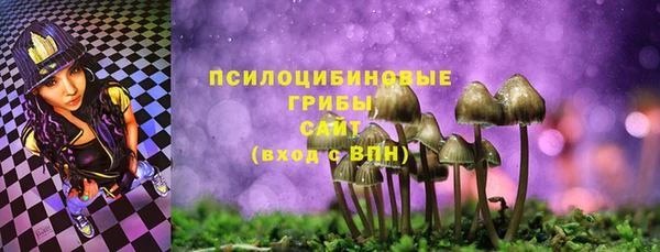 бошки Алзамай
